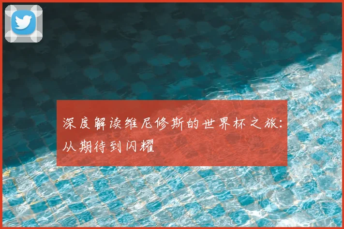 深度解读维尼修斯的世界杯之旅：从期待到闪耀